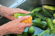 Bread 'n Butter Pickles Canning step 2