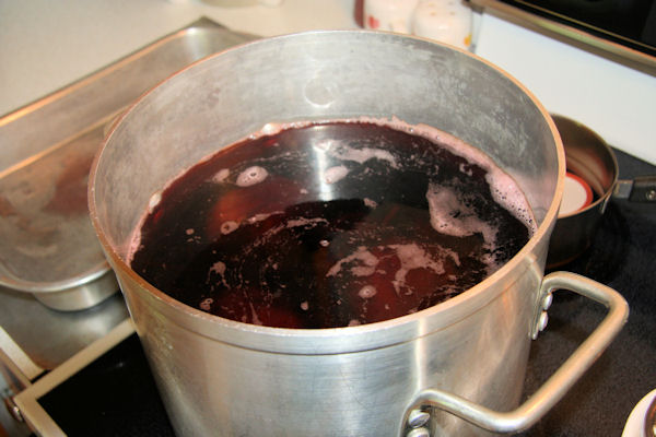 Step 4 - Boil Beets