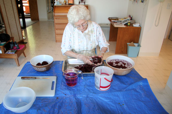 Step 9 - Beet Work Station