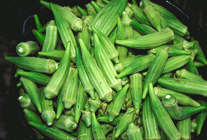 Fresh Okra