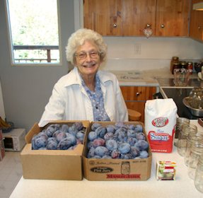 Canning Prunes