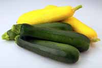 Summer Squash