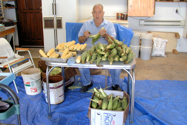 Step Four, Husk the Corn.