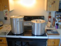 Blanching Pots