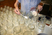 Green Beans Canning step 4