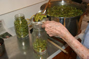 Green Beans Canning step 6