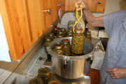 Green Beans Canning step 13