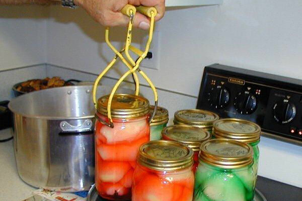 Hot Jar Lifting Tool