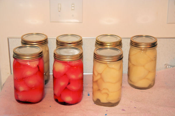 Step 22 - Set Jars to Cool 