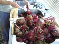 Pickled Beets Canning step 4