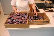 Plum Canning step 1