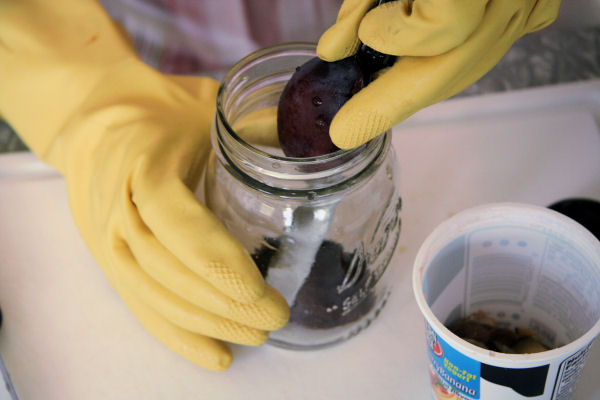 Step 8, Slide Plums into the Jar