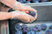 Canning Prunes Step 2