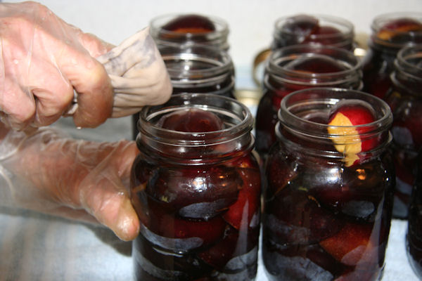 Step 11 - Wipe Rim 