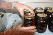 Canning Prunes, Step 12