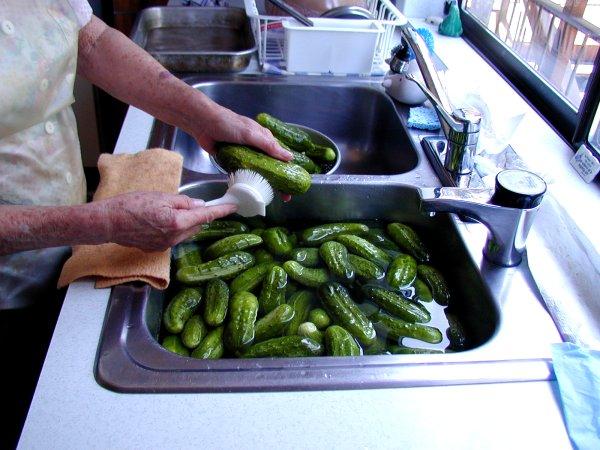 Step Five, Wash Cucumbers