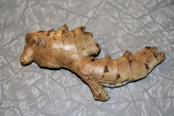 Ginger Root