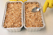 Apple Crisp, Step 22