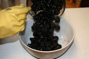 Blackberry Crisp Step 4