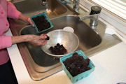 Marionberry Cobbler Step 1