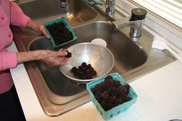Step 1 - Remove Debris and Stems