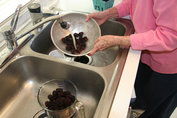 Step 2 - Wash Blueberries