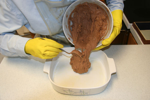 Step 20 - Put Batter into the Dish 