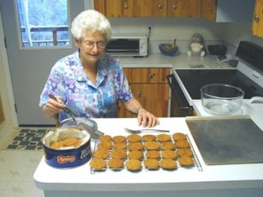 Molasses Cookies