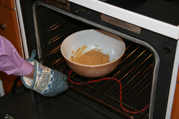 Step 3 - Bowl into Oven