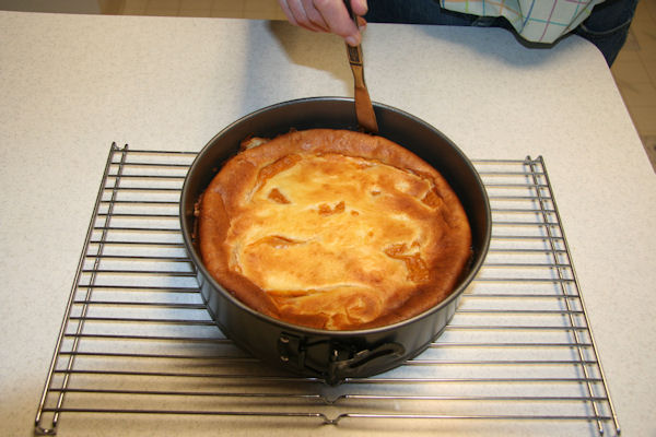 Step 20 - Out of the Oven 