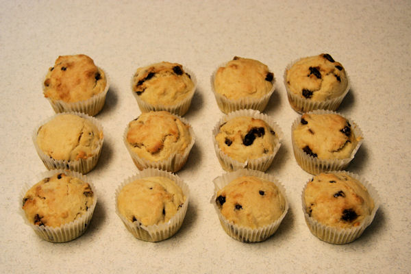 Step 23 - Final Product