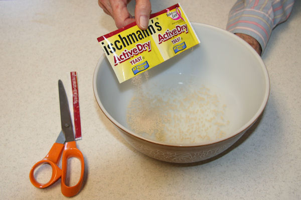 Step 2 - Add Yeast