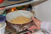 Easy Dinner Rolls, Step 15