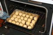 Easy Dinner Rolls, Step 23