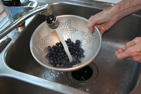 Step 2 - Wash Blueberries