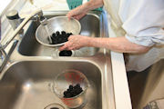 Making Deep Dish Blackberry Pie Step 2