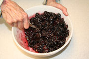 Blackberry Pie, Step 10