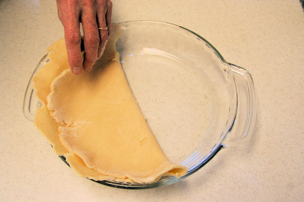 Step 19 - Fold in Half