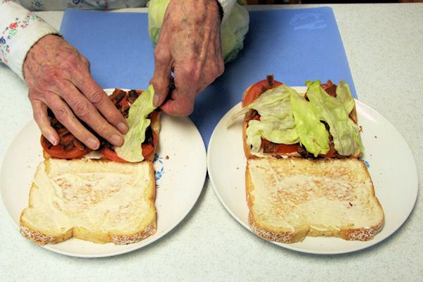 Step 9 -Apply Lettuce 