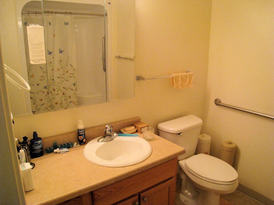 Bathroom Sink  