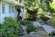 Front Yard Landscaped