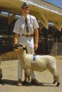 Chet's Blue Ribbon