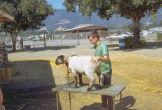 Chet Prepares Lamb