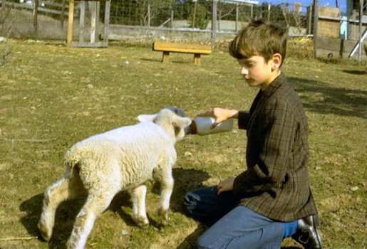 Landon Feeds a Bummer Lamb