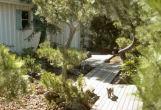 Japanese Walkway