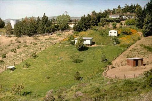 House after 19 Years
