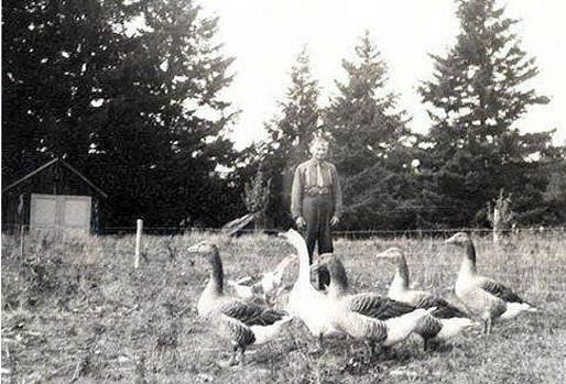 Grampa James Alanzo Noll