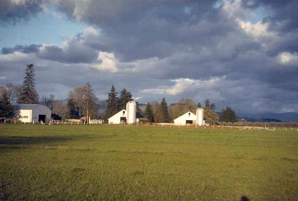 Royaldel Farms' Barns