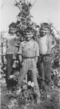 Three Noll Boys - 25 