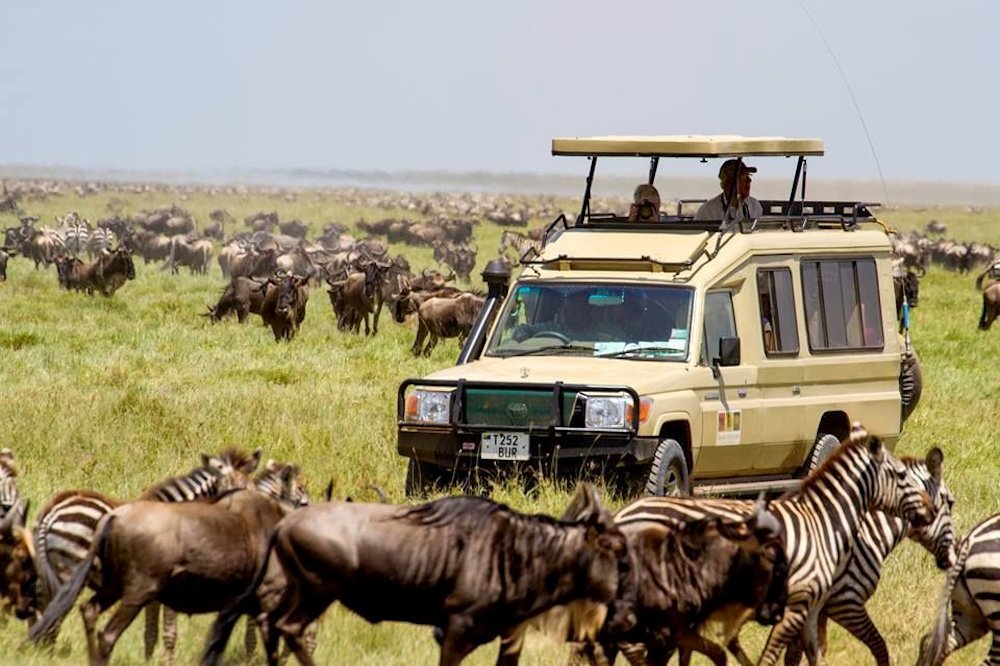 Serengeti National Park in Tanzania  